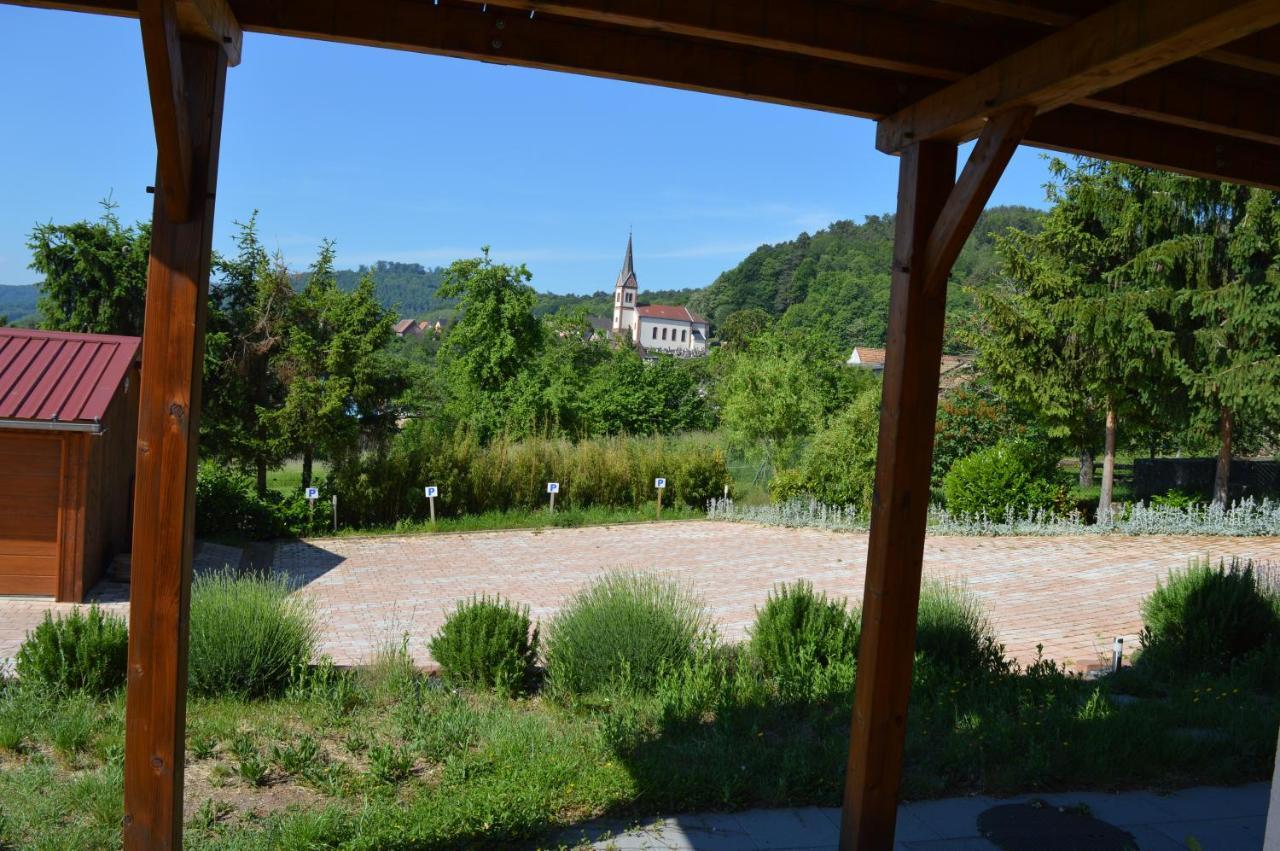 Chambres D'Hotes Les Vignes Saint-Jean-Saverne Bagian luar foto