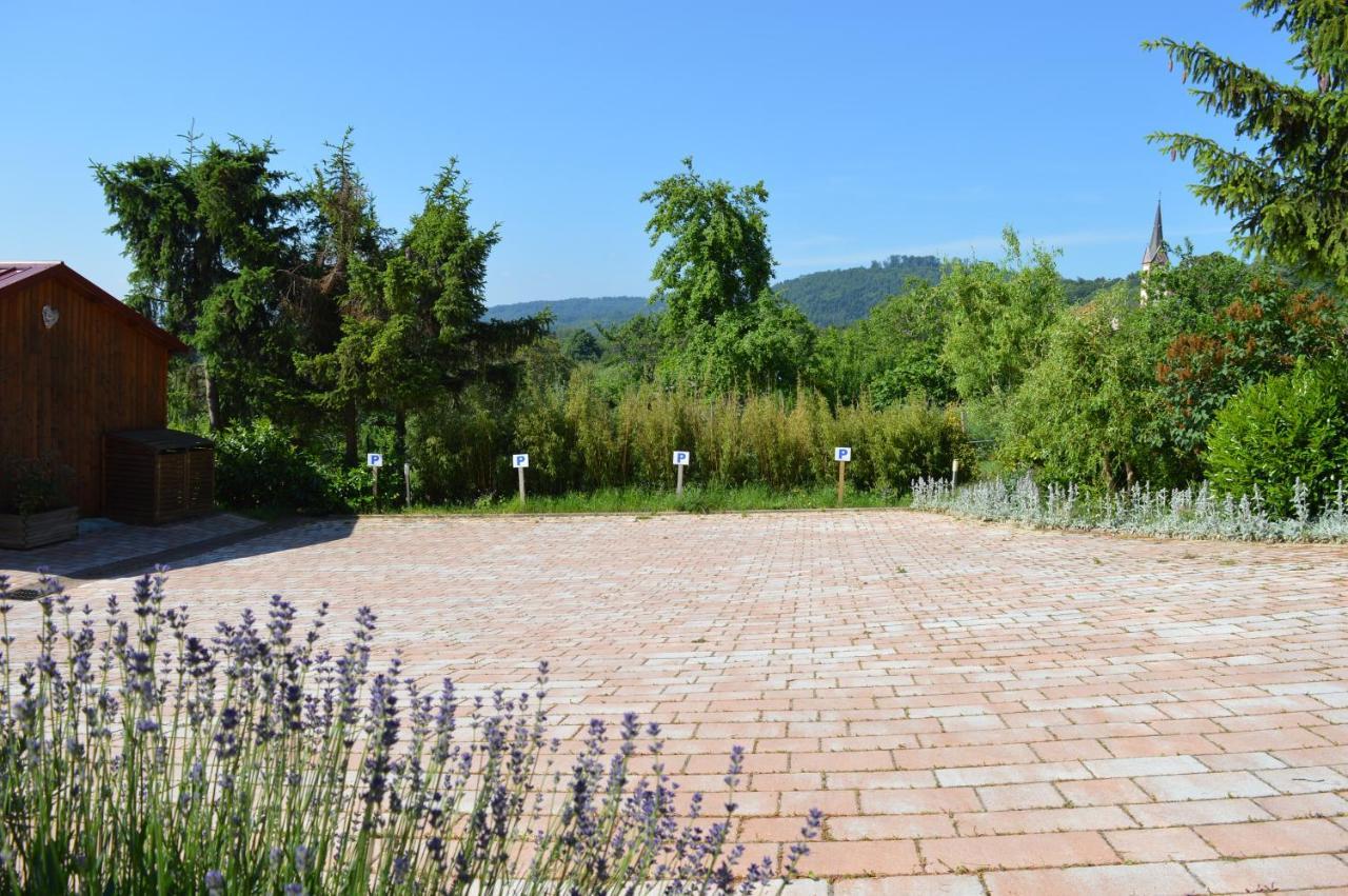 Chambres D'Hotes Les Vignes Saint-Jean-Saverne Bagian luar foto
