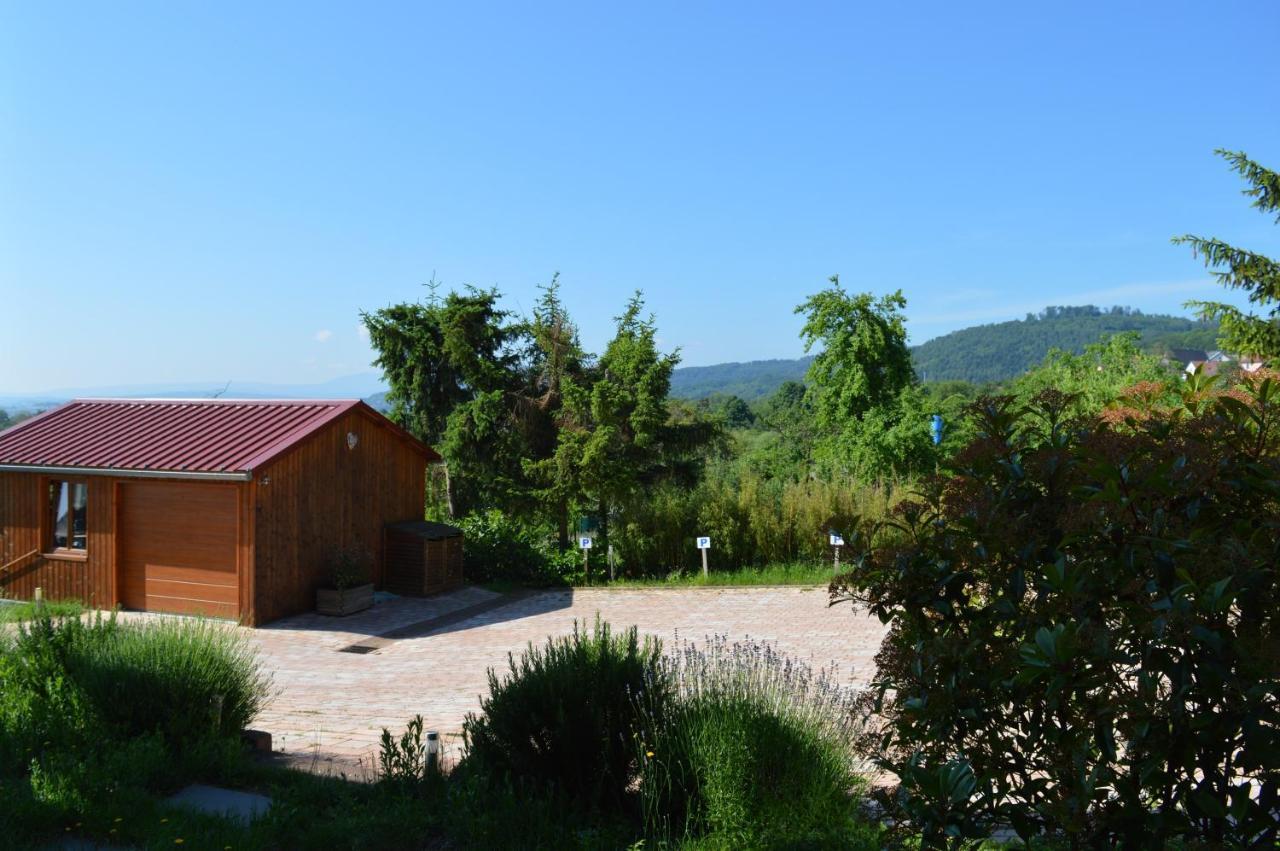 Chambres D'Hotes Les Vignes Saint-Jean-Saverne Bagian luar foto